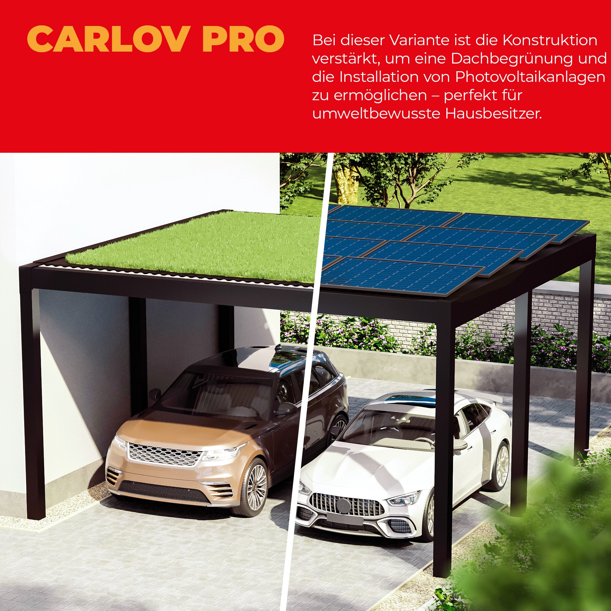 Flachdach Doppel-Carport 6,00 x 6,00m CarLov